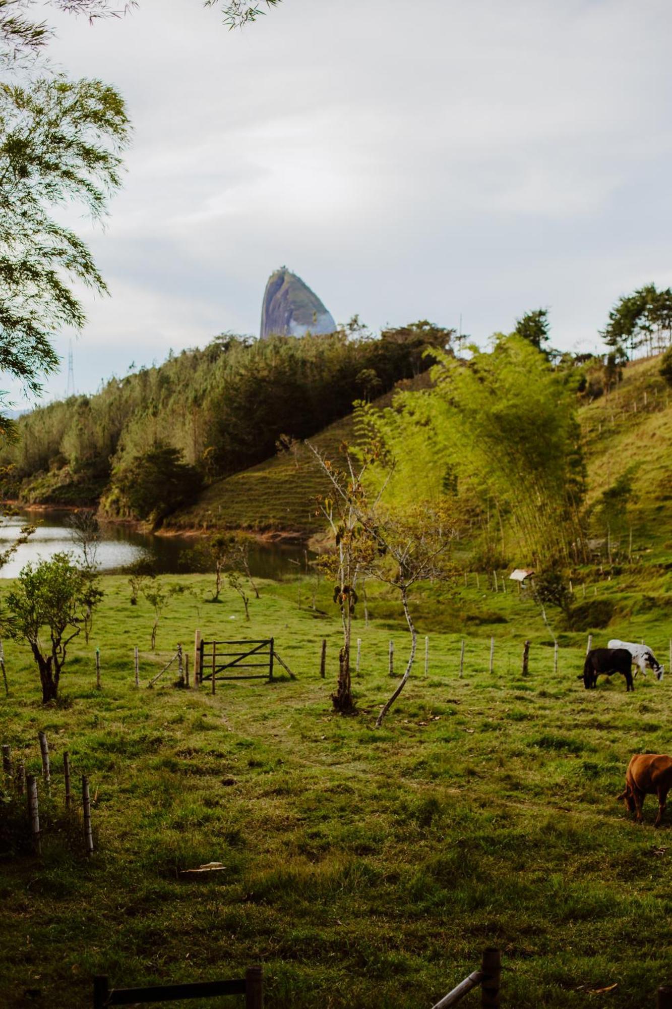 Campsite Refugio Selvatico Guatape