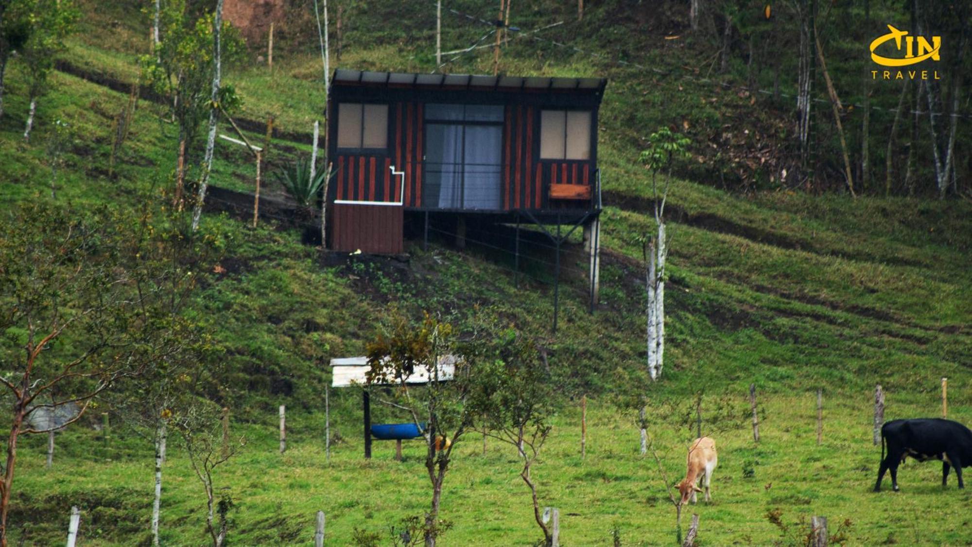 Refugio Selvatico Campsite